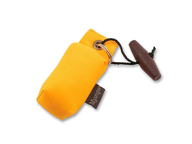 Mystique Mini Dummy Key case